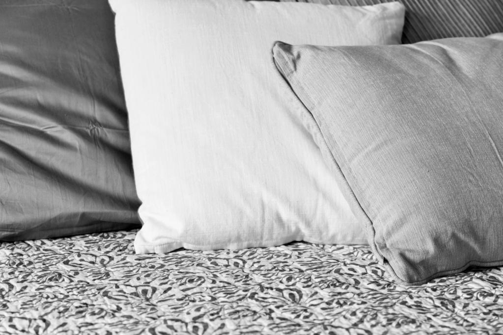 Am Pavillon, Bed&kitchen Bern